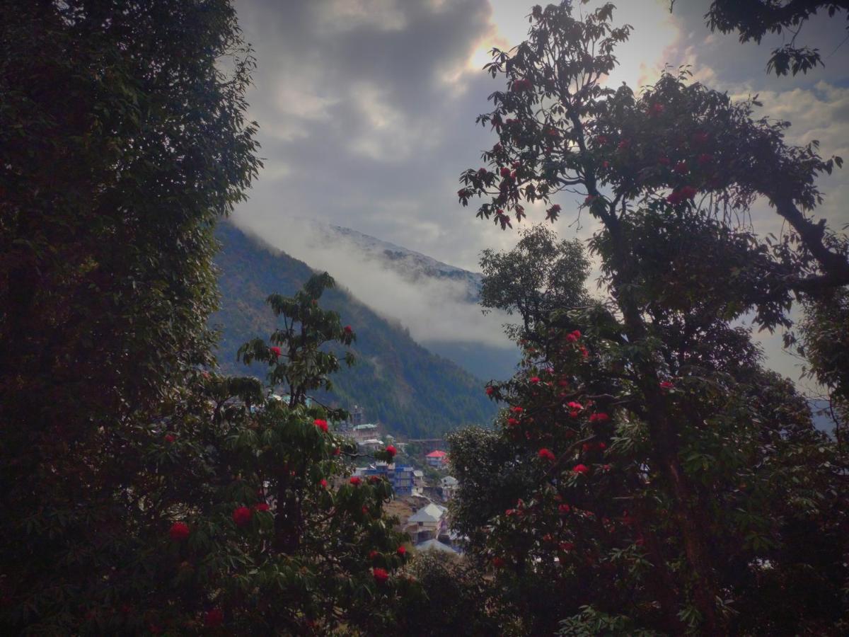 The Unmad, Dharamkot Hotel Dharamshala Bagian luar foto